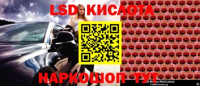 ГАЛЛЮЦИНОГЕННЫЕ ГРИБЫ Отрадный